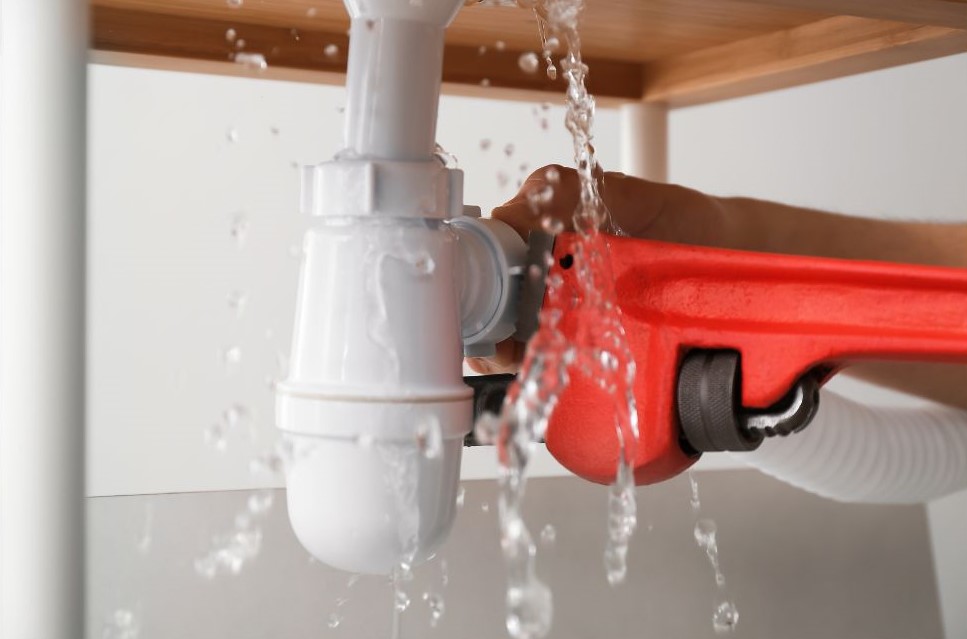 Why You Should Let A Plumber Snake Your Drains And Avoid The DIY Headaches